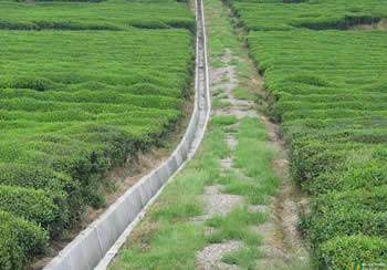 農田水利水電建設項目